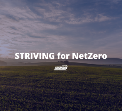 STRIVING for NetZero