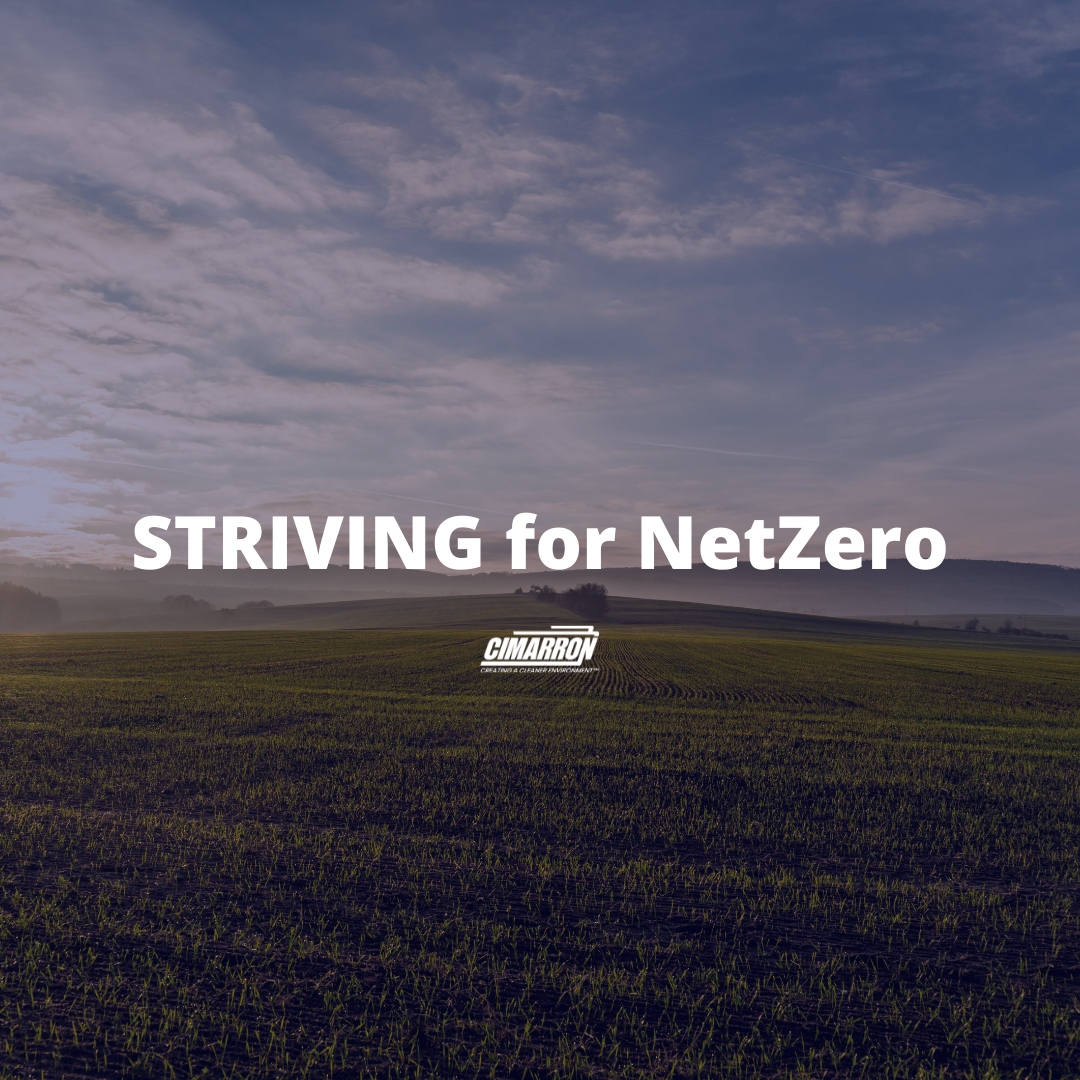STRIVING for NetZero
